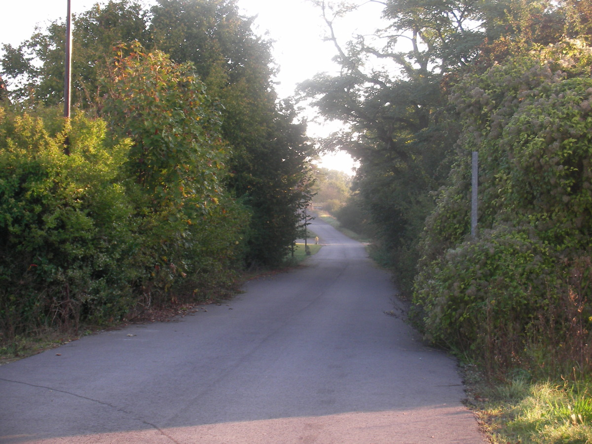 En attente d&rsquo;élagage et d&rsquo;entretien rue des Paradis !