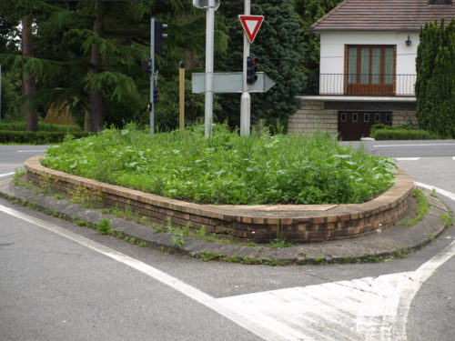 Elus et entretien des espaces verts laissant à désirer… la solution est elle le « tout plastique » ?